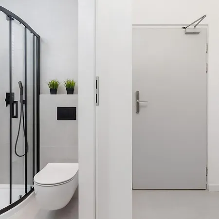 Cracow Starowislna By Renters * Cracóvia